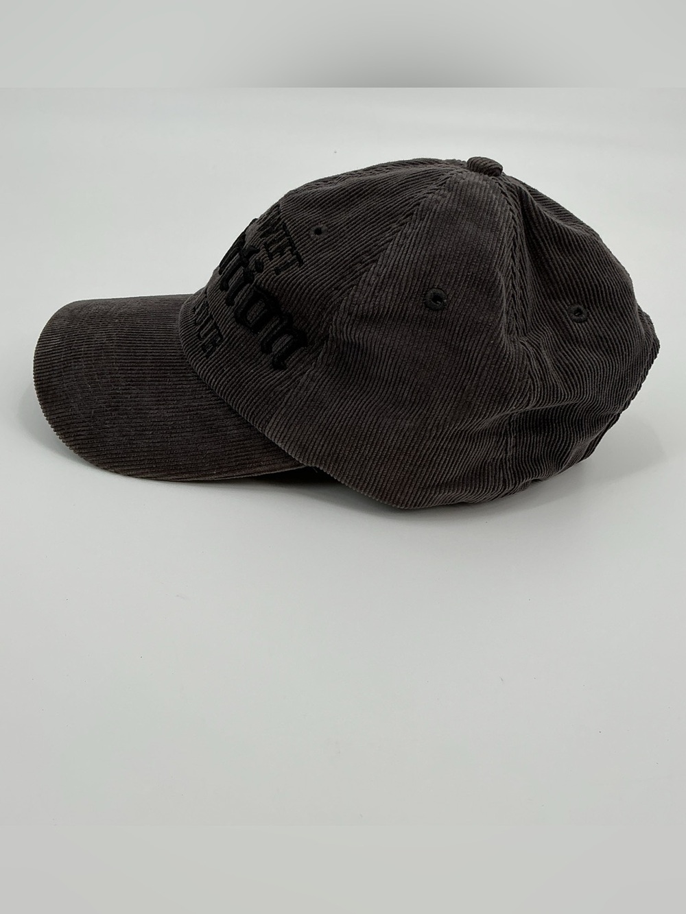 Taylor Swift 2018 Reputation Stadium Tour Corduroy Baseball Cap - Charcoal - Picture 3 of 6